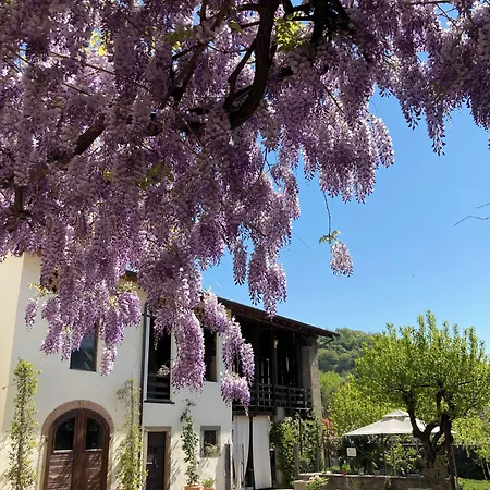 Bed & Breakfast Corte Seguini 4*