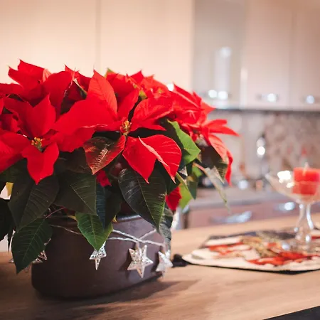 Bed & Breakfast Corte Seguini 4*