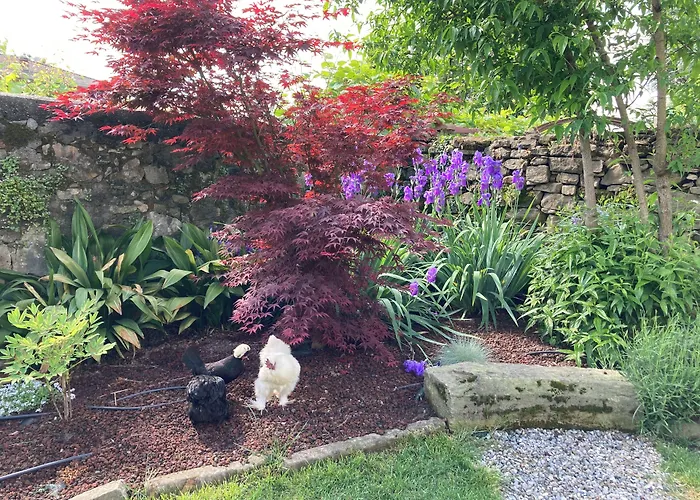 Bed & Breakfast Corte Seguini Bagnatica