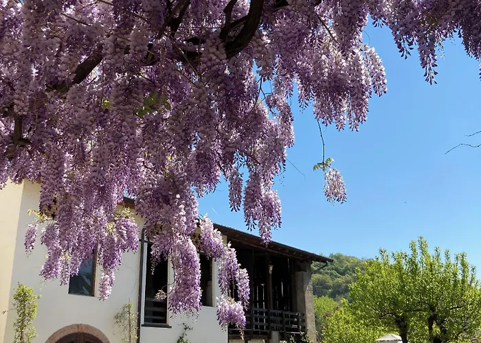 Bed & Breakfast Corte Seguini 4*